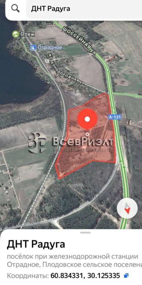 7photo_2026-02-05_16-52-10