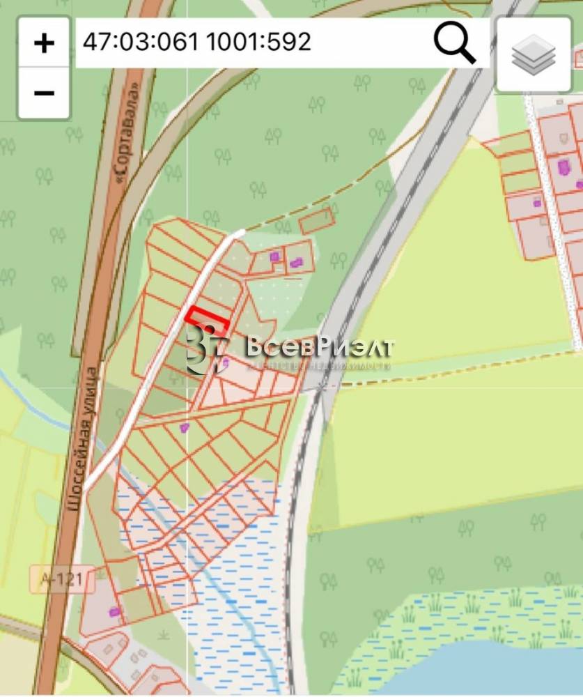 10photo_2026-02-05_16-52-14