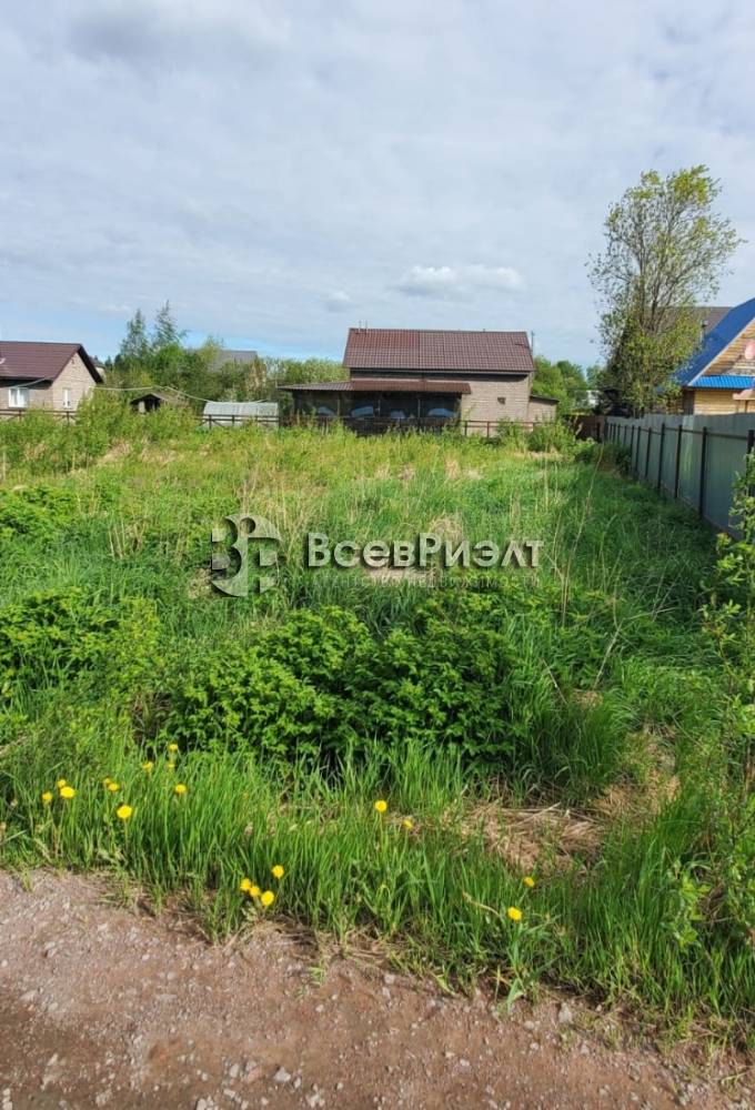 5изображение whatsapp 2025-06-20 в 14.32.46_fb86c1c7