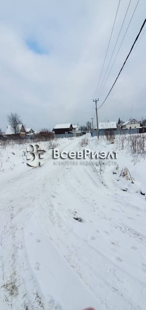 2изображение whatsapp 2025-02-07 в 13.25.36_6e955242