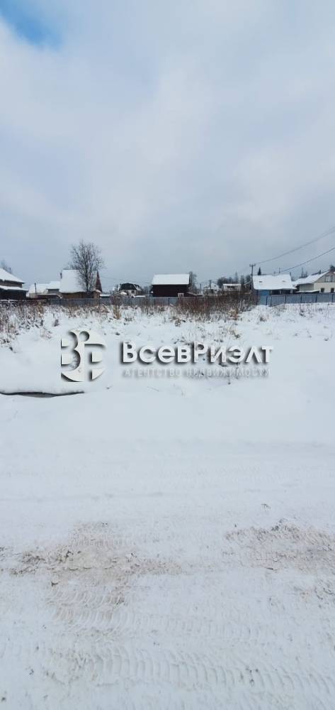 3изображение whatsapp 2025-02-07 в 13.25.36_c1bc7935