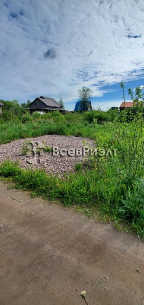 2изображение whatsapp 2025-06-20 в 14.32.42_b16e1974