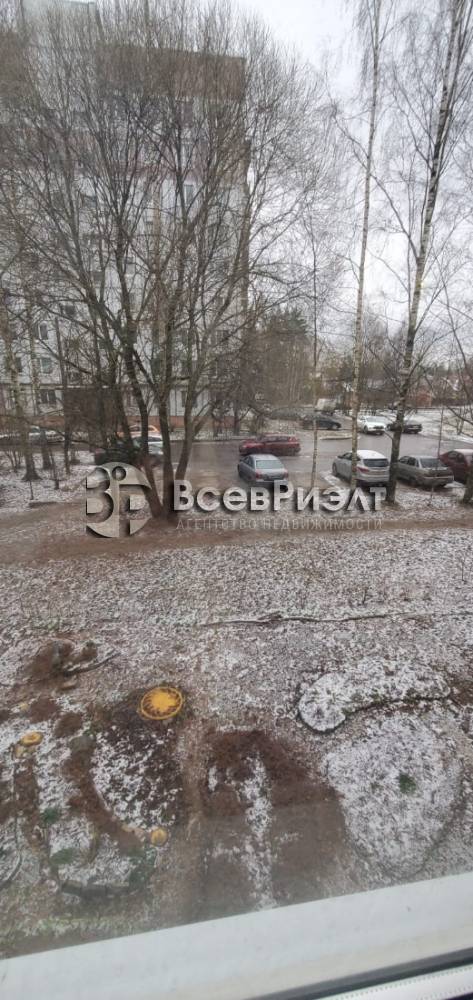 14изображение whatsapp 2024-12-16 в 14.52.59_2b0228a4