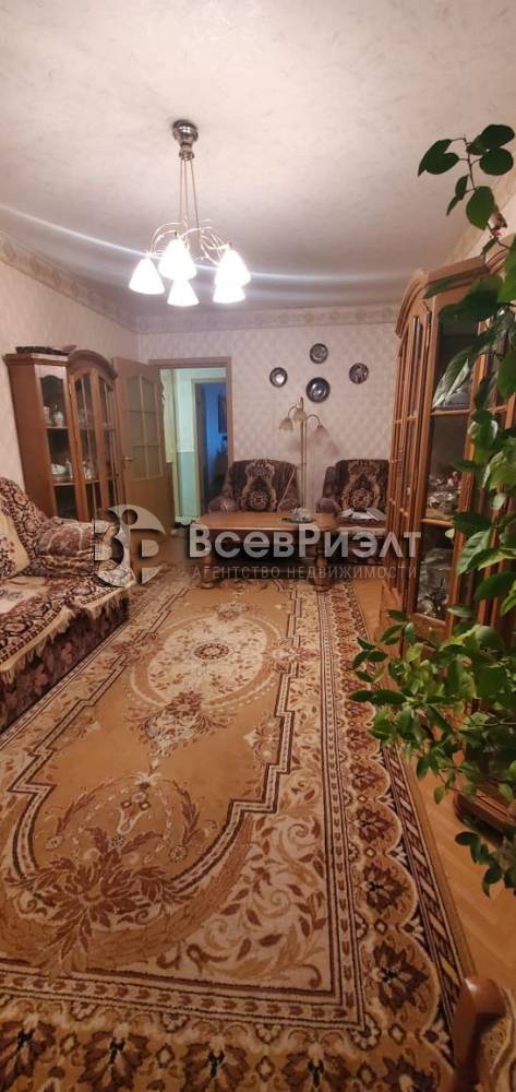 16изображение whatsapp 2024-12-16 в 14.53.04_f8e55736