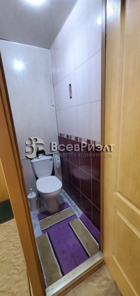 99изображение whatsapp 2024-12-16 в 14.52.59_9a34c916