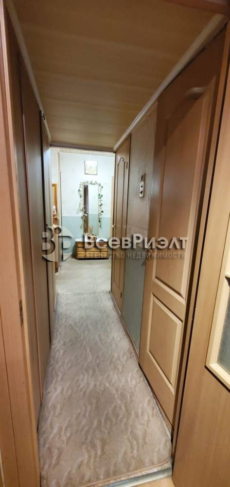 7изображение whatsapp 2024-12-16 в 14.53.00_2138f2b4