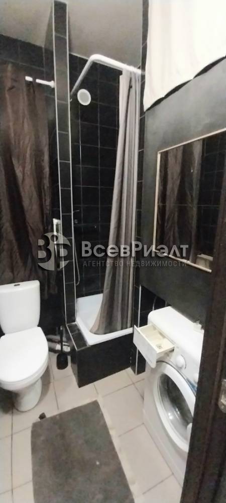 изображение whatsapp 2024-07-18 в 12.46.48_ade037ff2