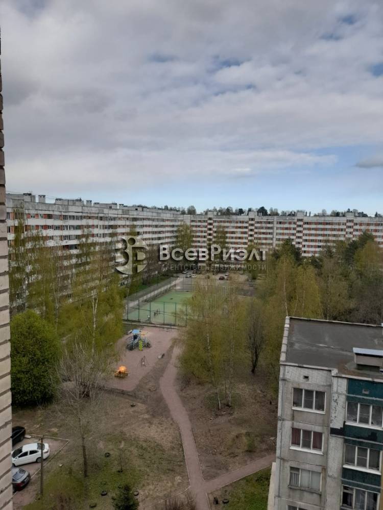 36изображение whatsapp 2023-05-06 в 16.29.07