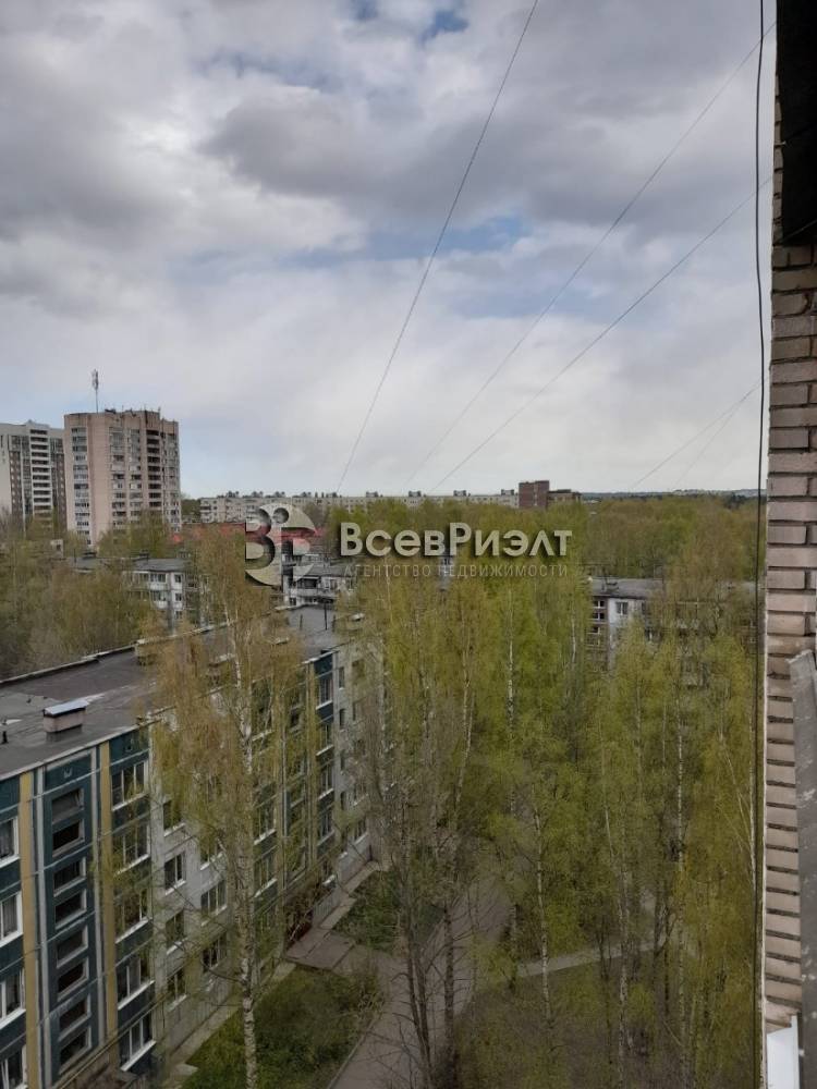 37изображение whatsapp 2023-05-06 в 16.29.07