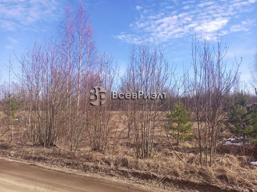 img_20260321_125820_832 (1)