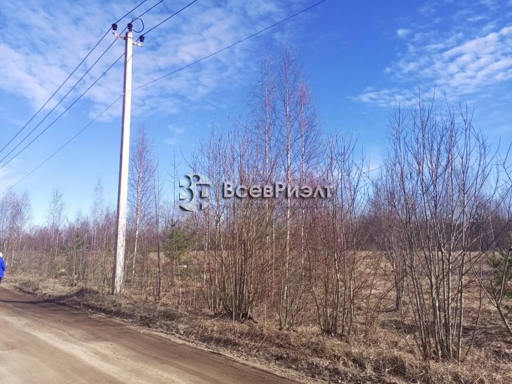 img_20260321_125822_904