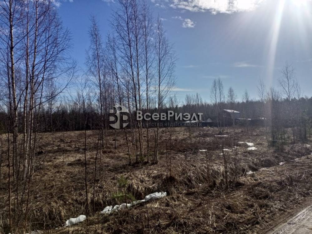 img_20260321_130016_240