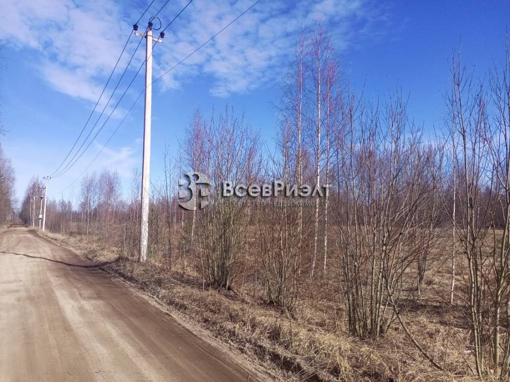 img_20260321_130134_221