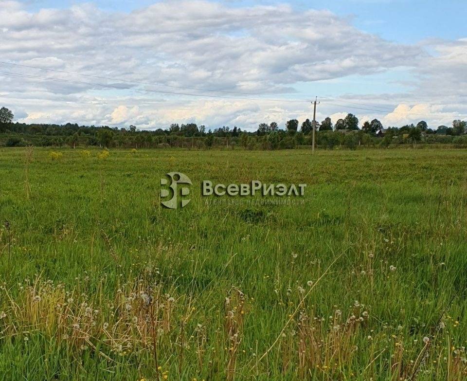 3uchastok-zaluchskoe-2833438650-1