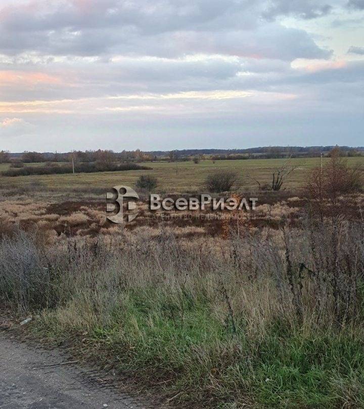 5uchastok-zaluchskoe-2833438649-1