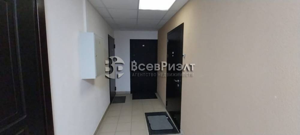 40аизображение whatsapp 2024-11-06 в 10.11.30_c88929c9