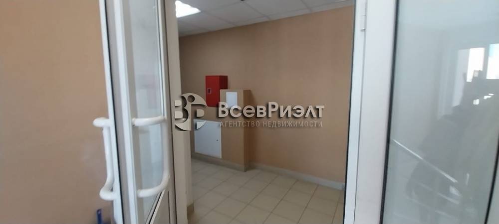 40визображение whatsapp 2024-11-06 в 10.11.31_8202c77c