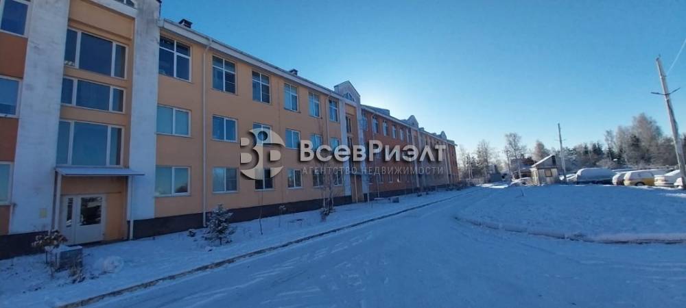 44изображение whatsapp 2024-11-06 в 10.11.30_a9ad1de6