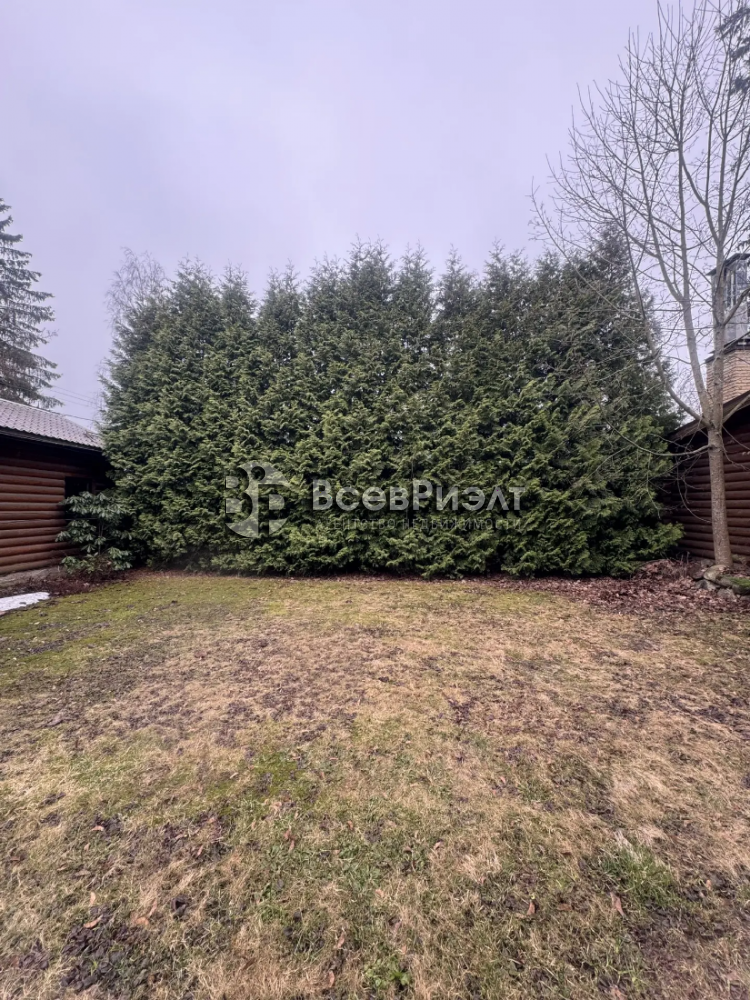 5а9img_20260403_161108