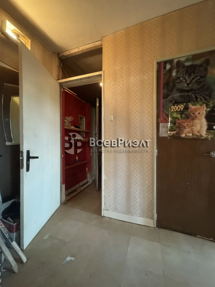 3img_20260420_113202