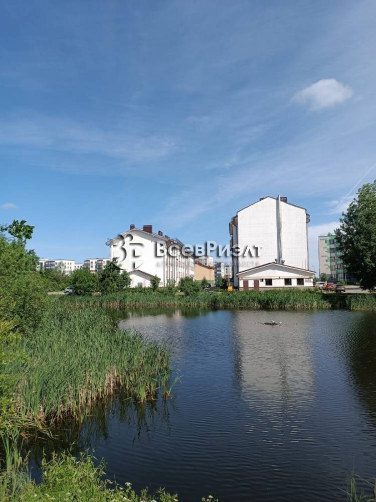 13изображение whatsapp 2025-06-20 в 16.56.30_7da82240