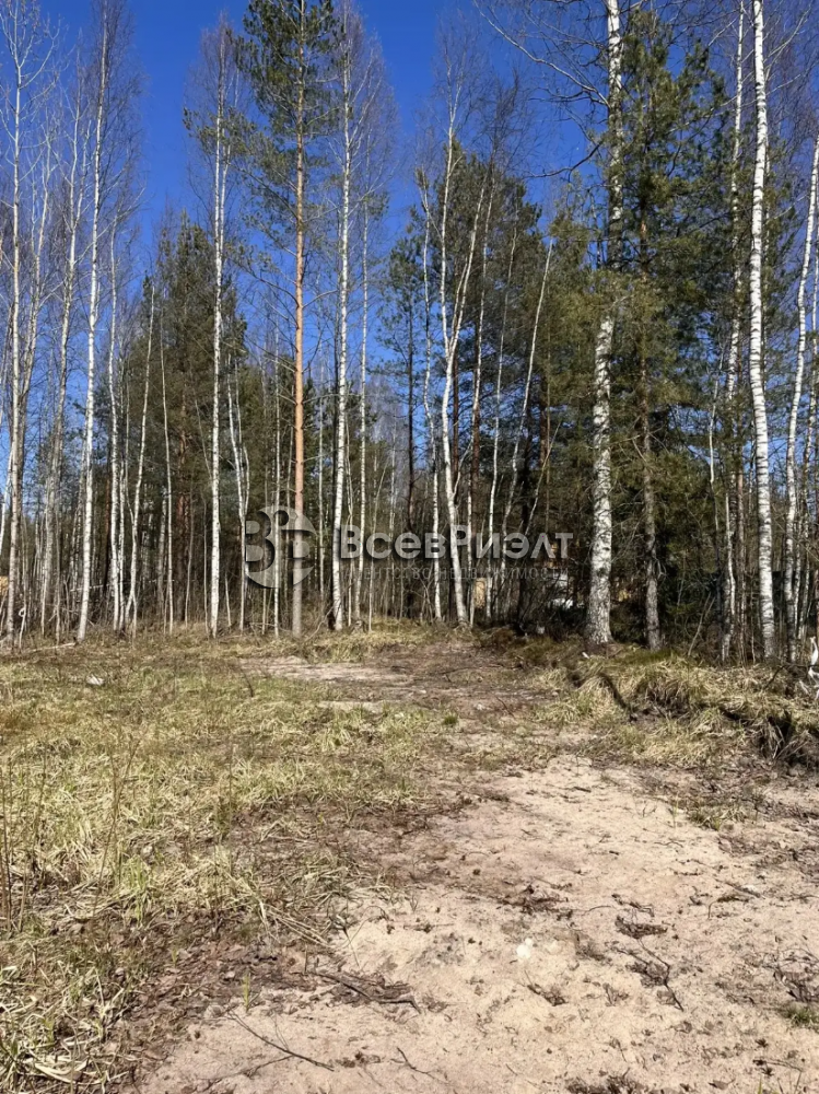 4img_20260422_112528